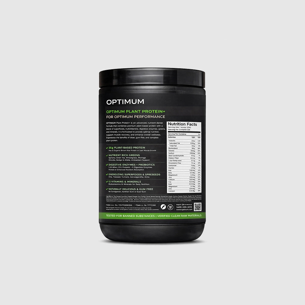 Plant Based Protein Powder
